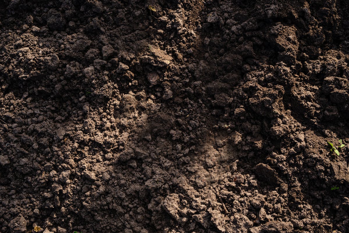 soil